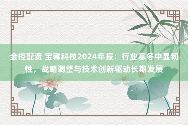 金控配资 宝馨科技2024年报：行业寒冬中显韧性，战略调整与技术创新驱动长期发展