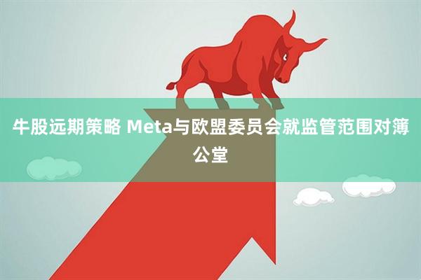 牛股远期策略 Meta与欧盟委员会就监管范围对簿公堂