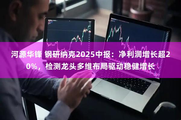 河源华锋 钢研纳克2025中报：净利润增长超20%，检测龙头多维布局驱动稳健增长