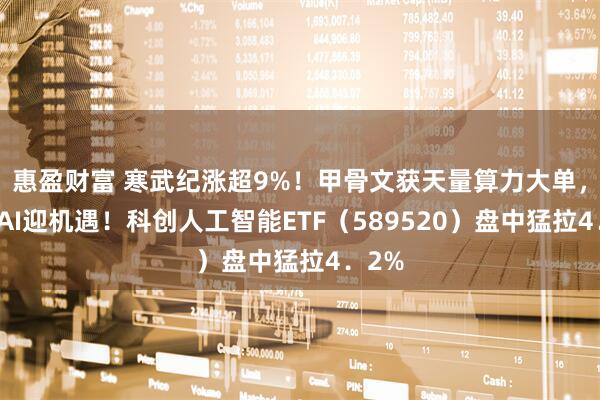 惠盈财富 寒武纪涨超9%！甲骨文获天量算力大单，国产AI迎机遇！科创人工智能ETF（589520）盘中猛拉4．2%