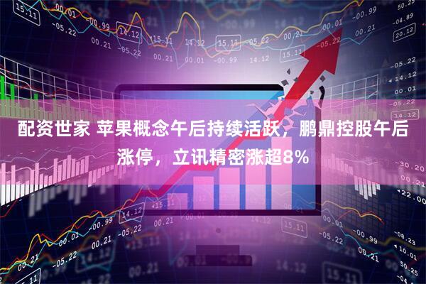 配资世家 苹果概念午后持续活跃，鹏鼎控股午后涨停，立讯精密涨超8%