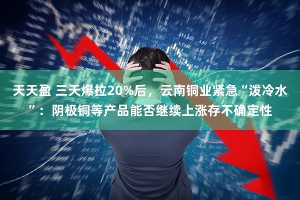 天天盈 三天爆拉20%后,云南铜业紧急“泼冷水”:阴极铜等产品能否继续上涨存不确定性