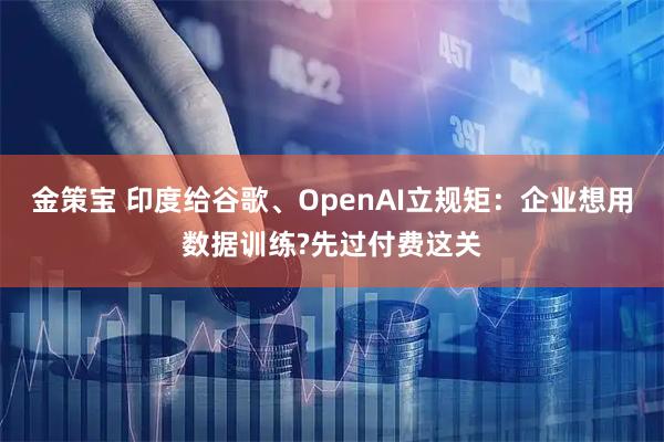 金策宝 印度给谷歌、OpenAI立规矩：企业想用数据训练?先过付费这关