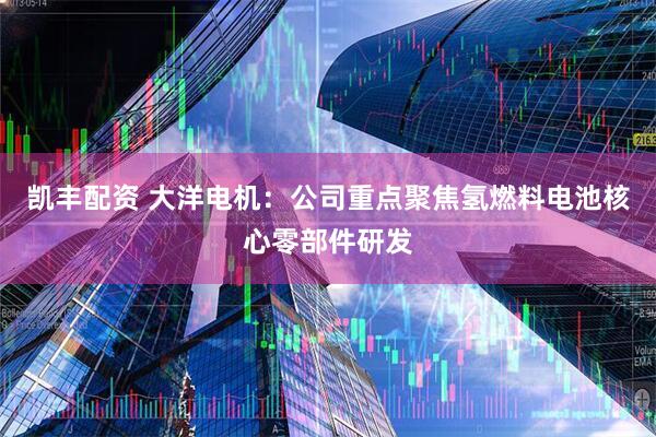 凯丰配资 大洋电机:公司重点聚焦氢燃料电池核心零部件研发