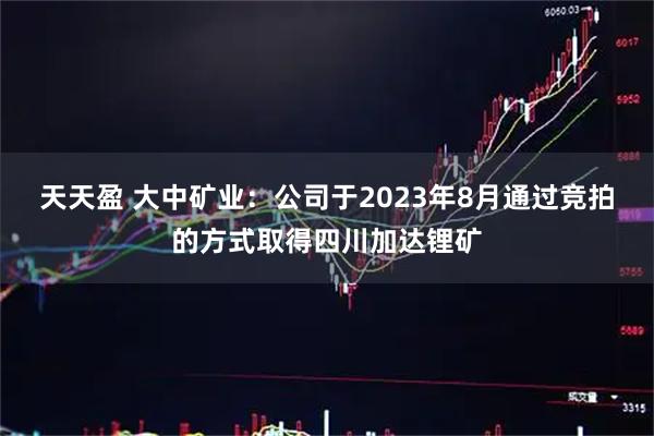 天天盈 大中矿业:公司于2023年8月通过竞拍的方式取得四川加达锂矿