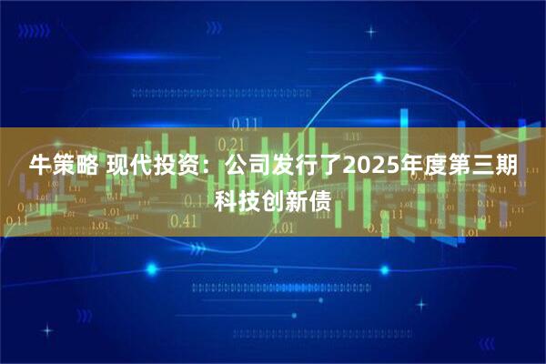 牛策略 现代投资：公司发行了2025年度第三期科技创新债