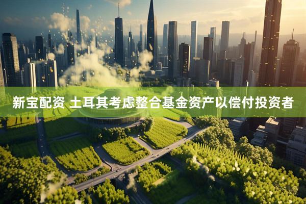 新宝配资 土耳其考虑整合基金资产以偿付投资者
